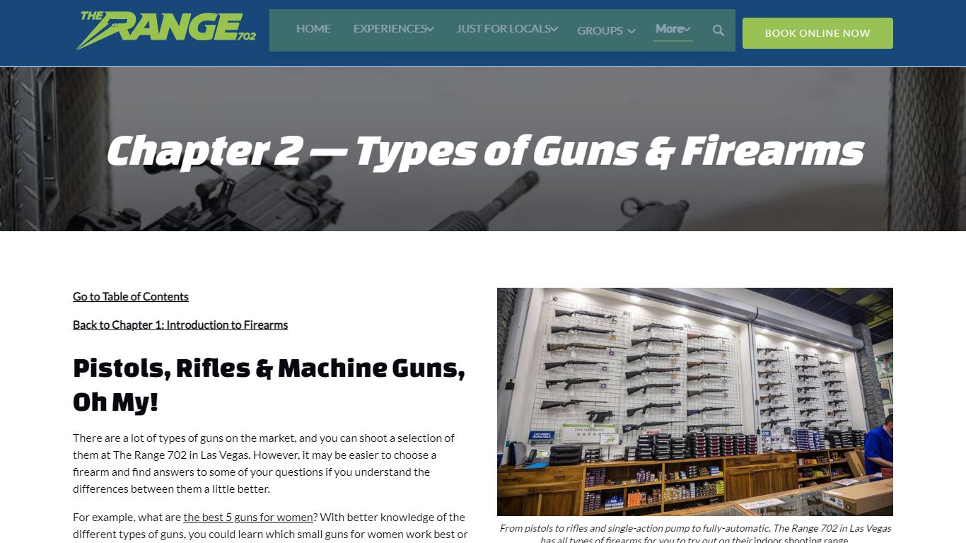 Types of Firearms | The Ultimate Shooting Range Guide - The Range 702
